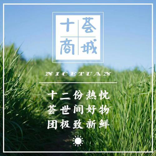 实惠团.jpg